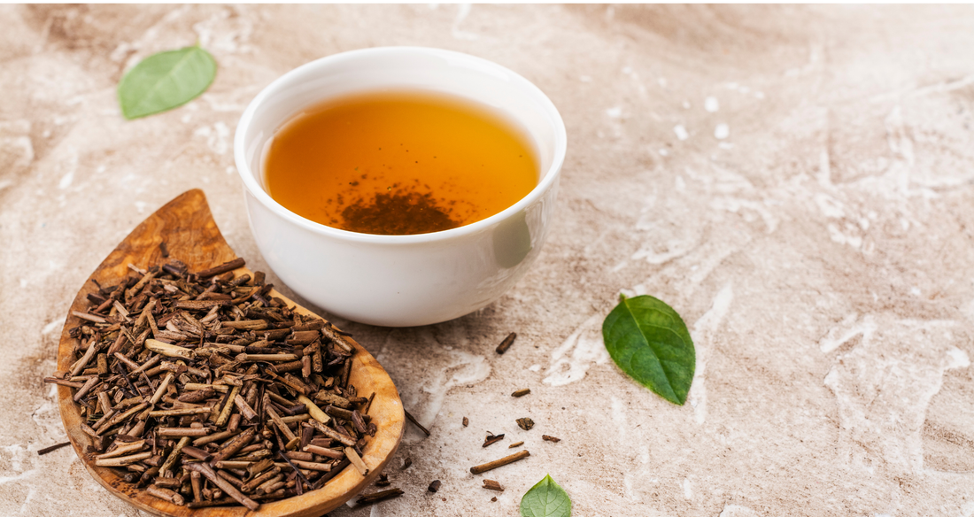Hojicha: Japan’s Roasted Green Tea with a Cozy Twist