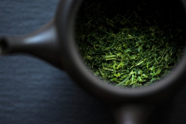 Sencha