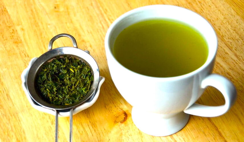 sencha