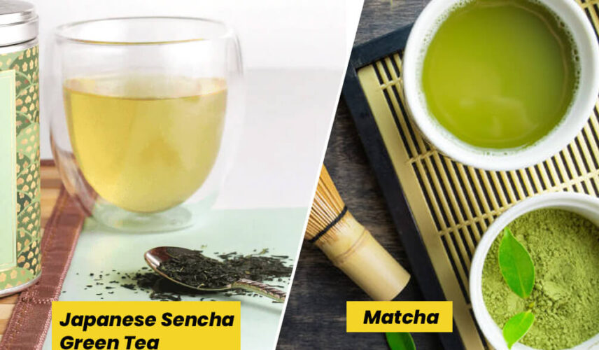 japanese sencha green tea
