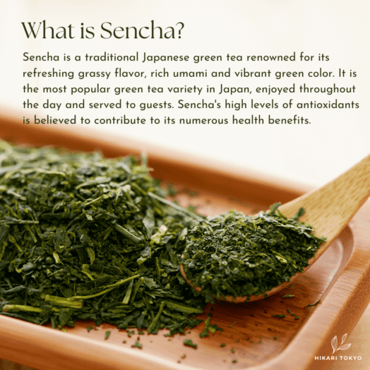 sencha japanese green tea